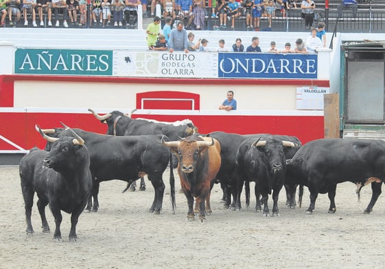Protagonismo donostiarra en Mont de Marsan: toros de Uranga y Ferro presidente