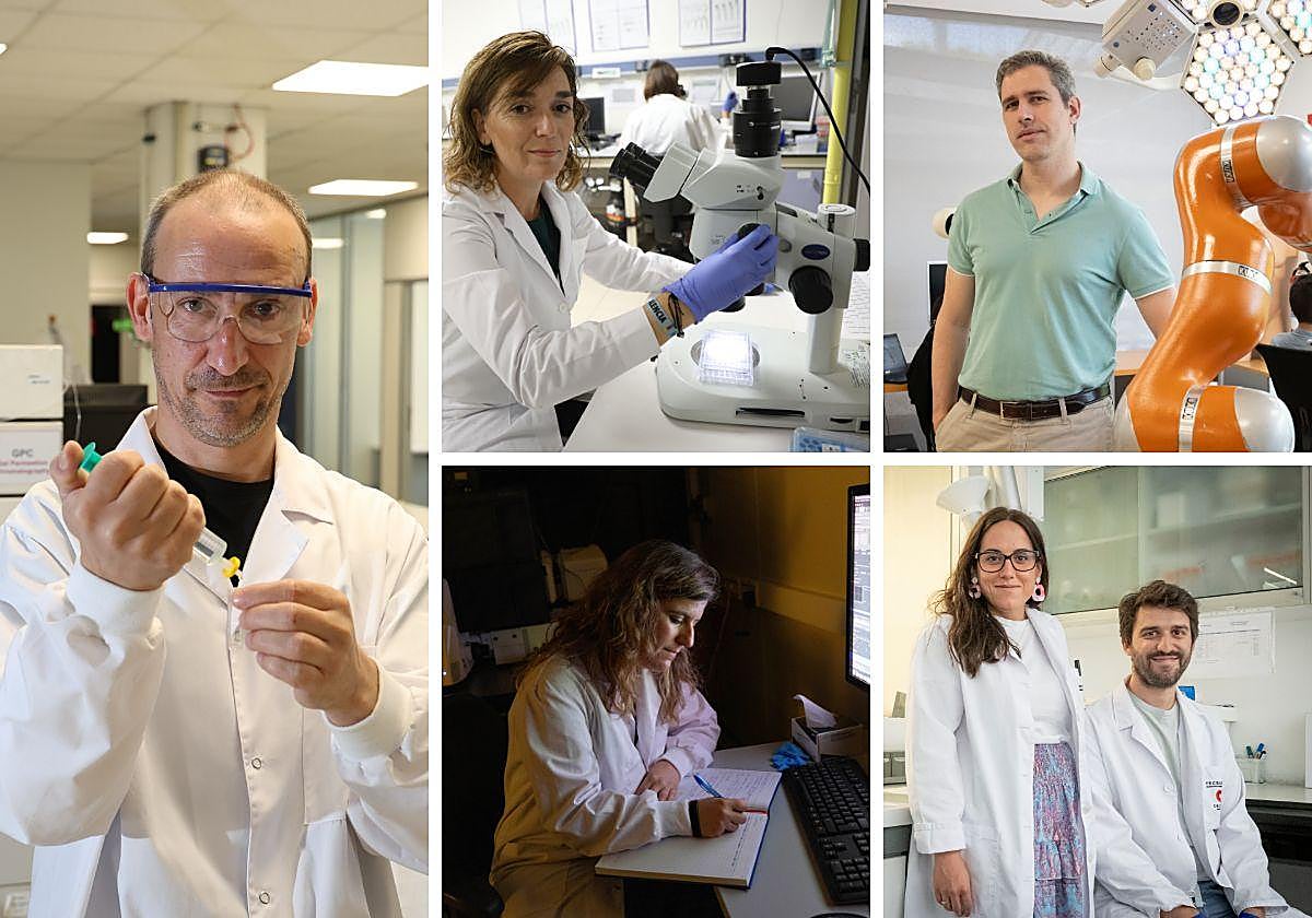 Peces similares al ser humano para testar medicamentos