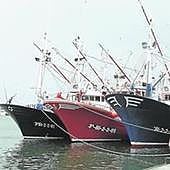 La «atípica» borrasca obliga a amarrar la flota vasca en plena campaña del bonito