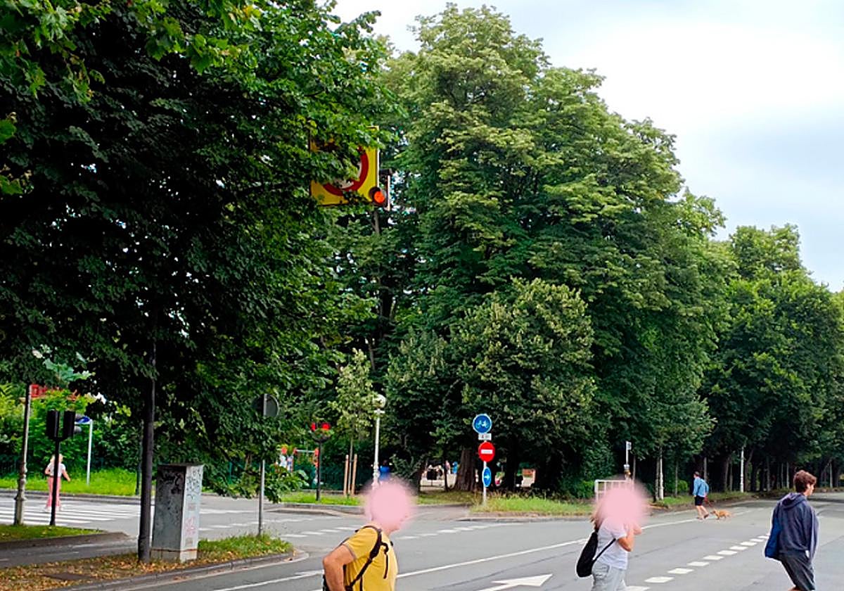 Señales para adivinos