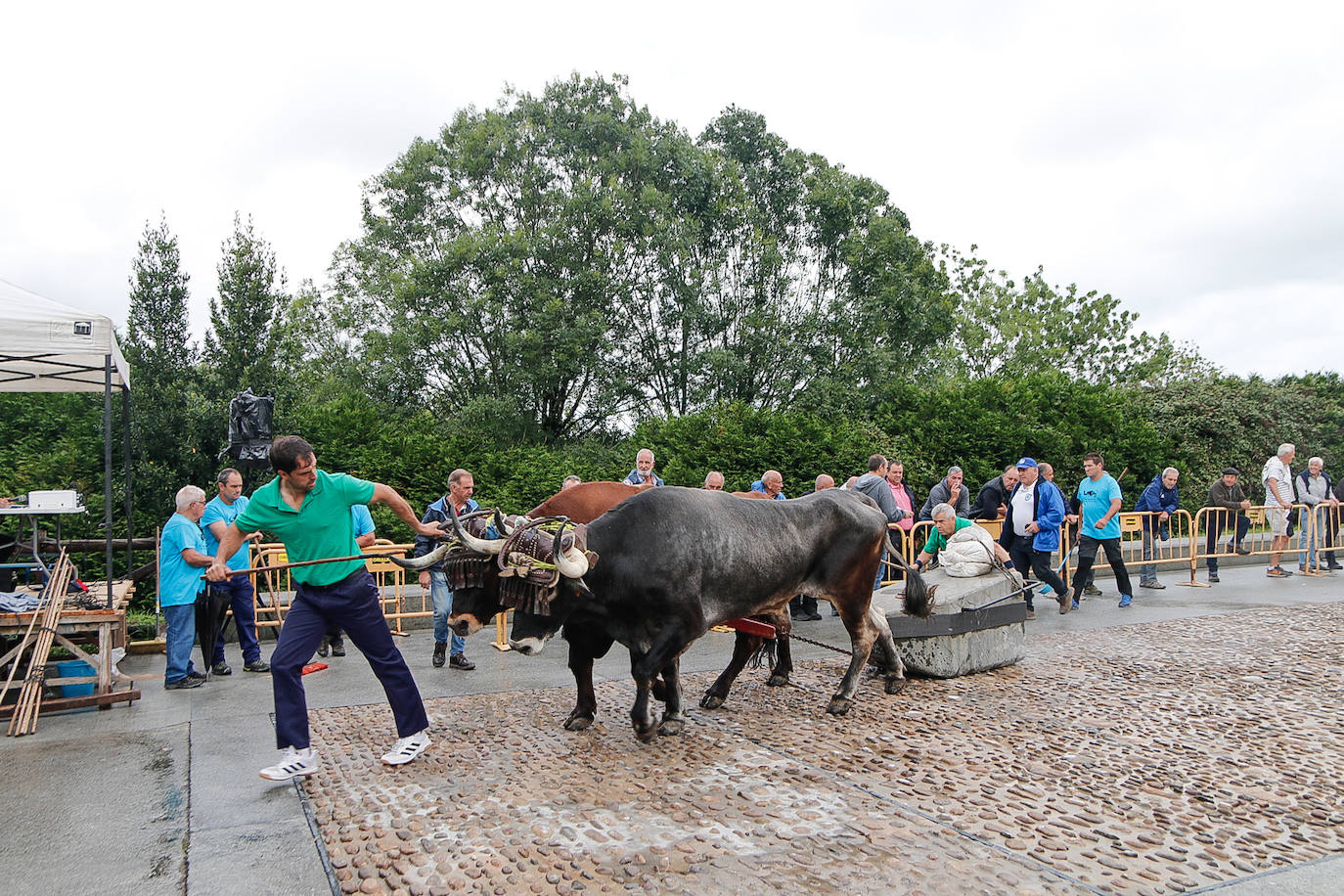 Baserritar eguna, beti berezia Oiartzunen