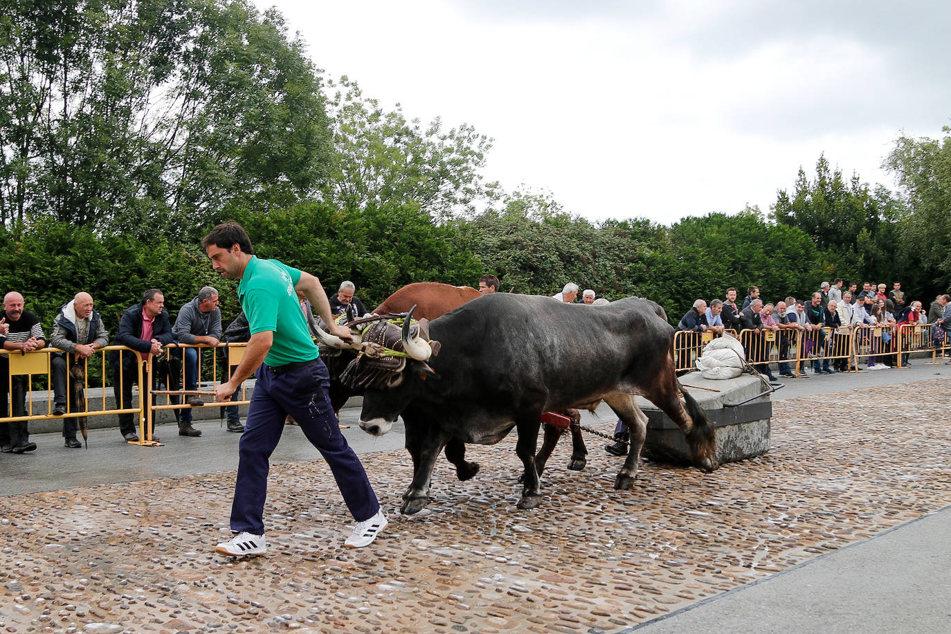 Baserritar eguna, beti berezia Oiartzunen