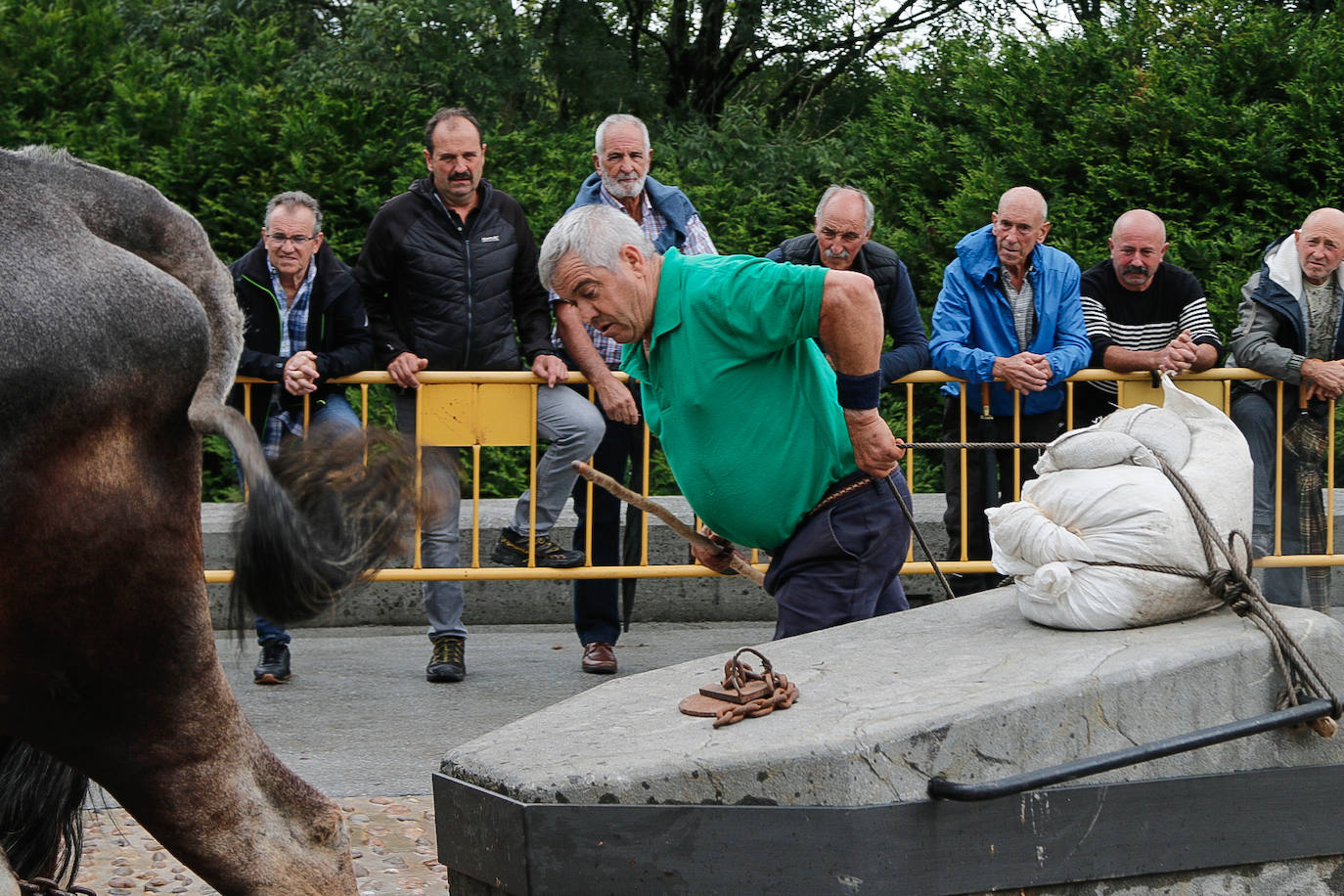 Baserritar eguna, beti berezia Oiartzunen
