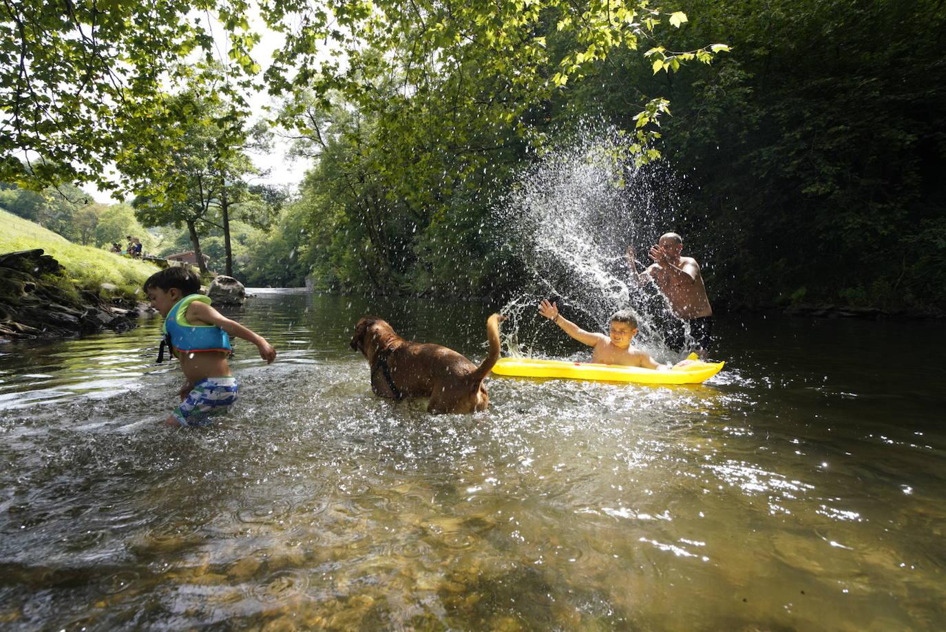 Los chapuzones y la sombra, los mejores aliados para evitar el sofoco