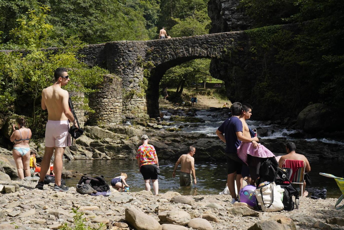 Los chapuzones y la sombra, los mejores aliados para evitar el sofoco