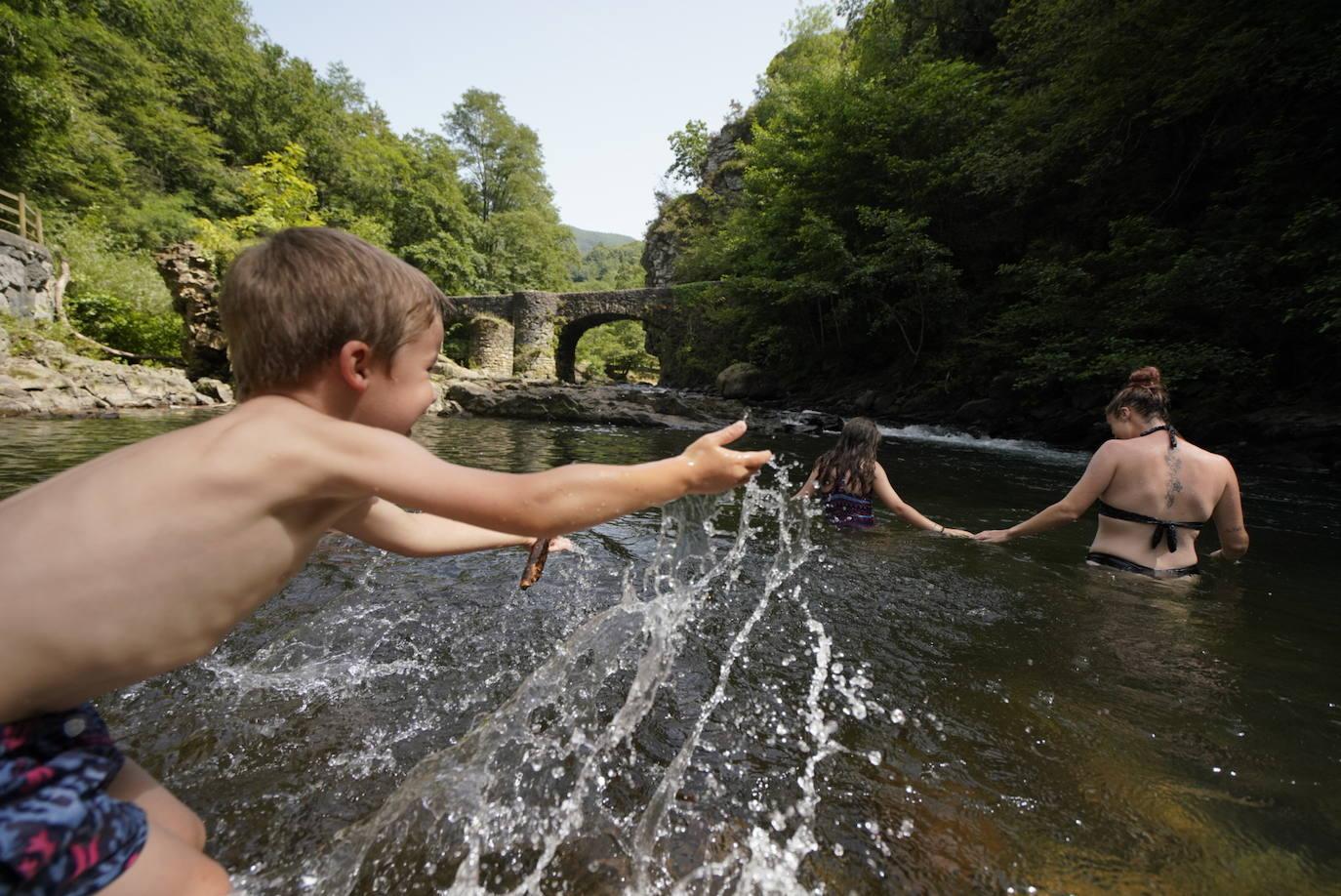 Los chapuzones y la sombra, los mejores aliados para evitar el sofoco
