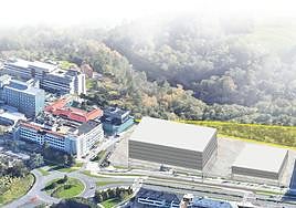 Una macrociudad sanitaria para Gipuzkoa