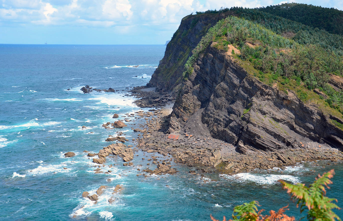 Armintzako flyshc beltza deritzona.