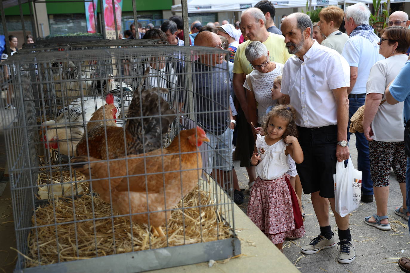 Día grande en Ordizia