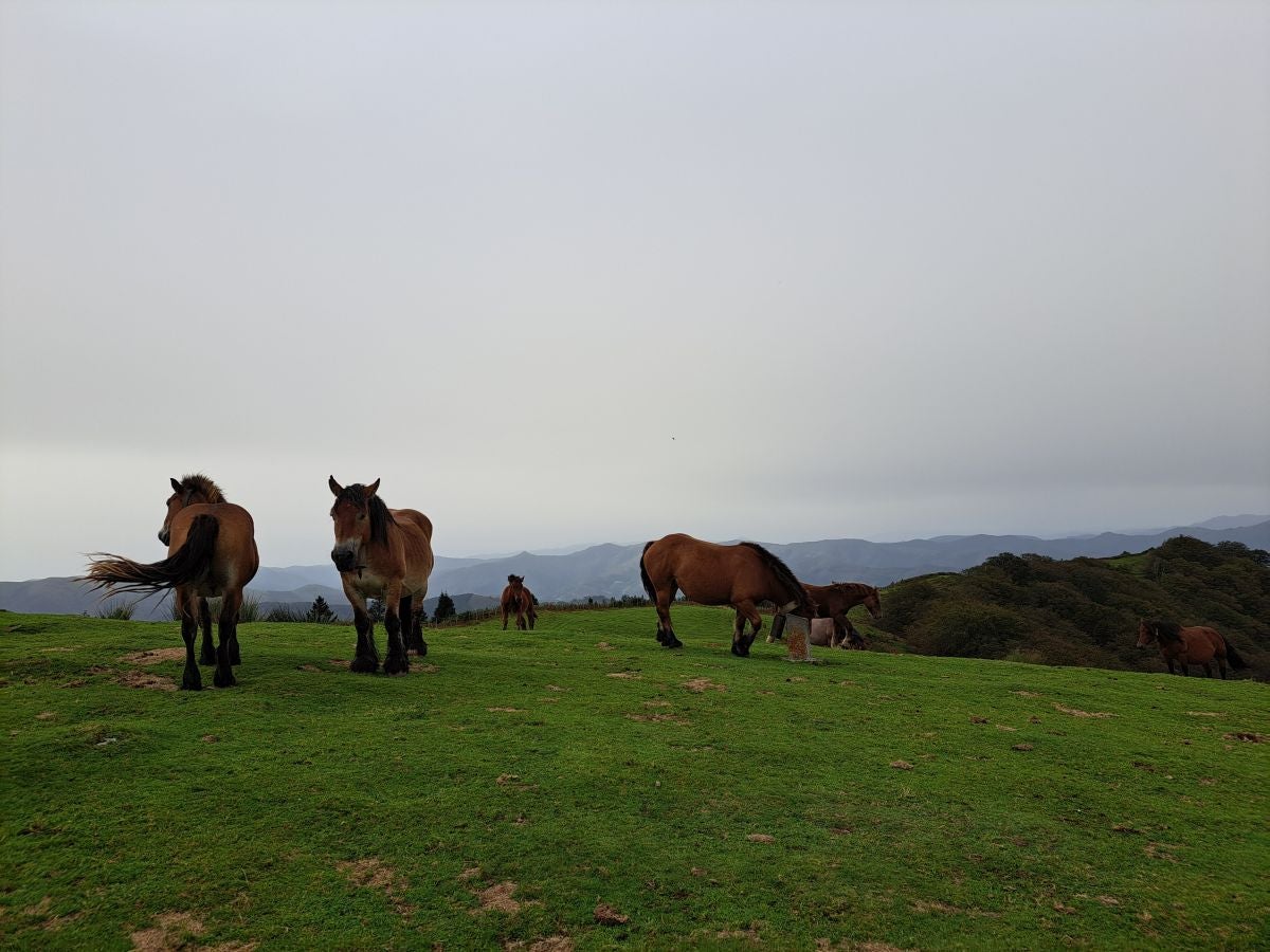 La ruta a la cima de Bianditz, en imágenes