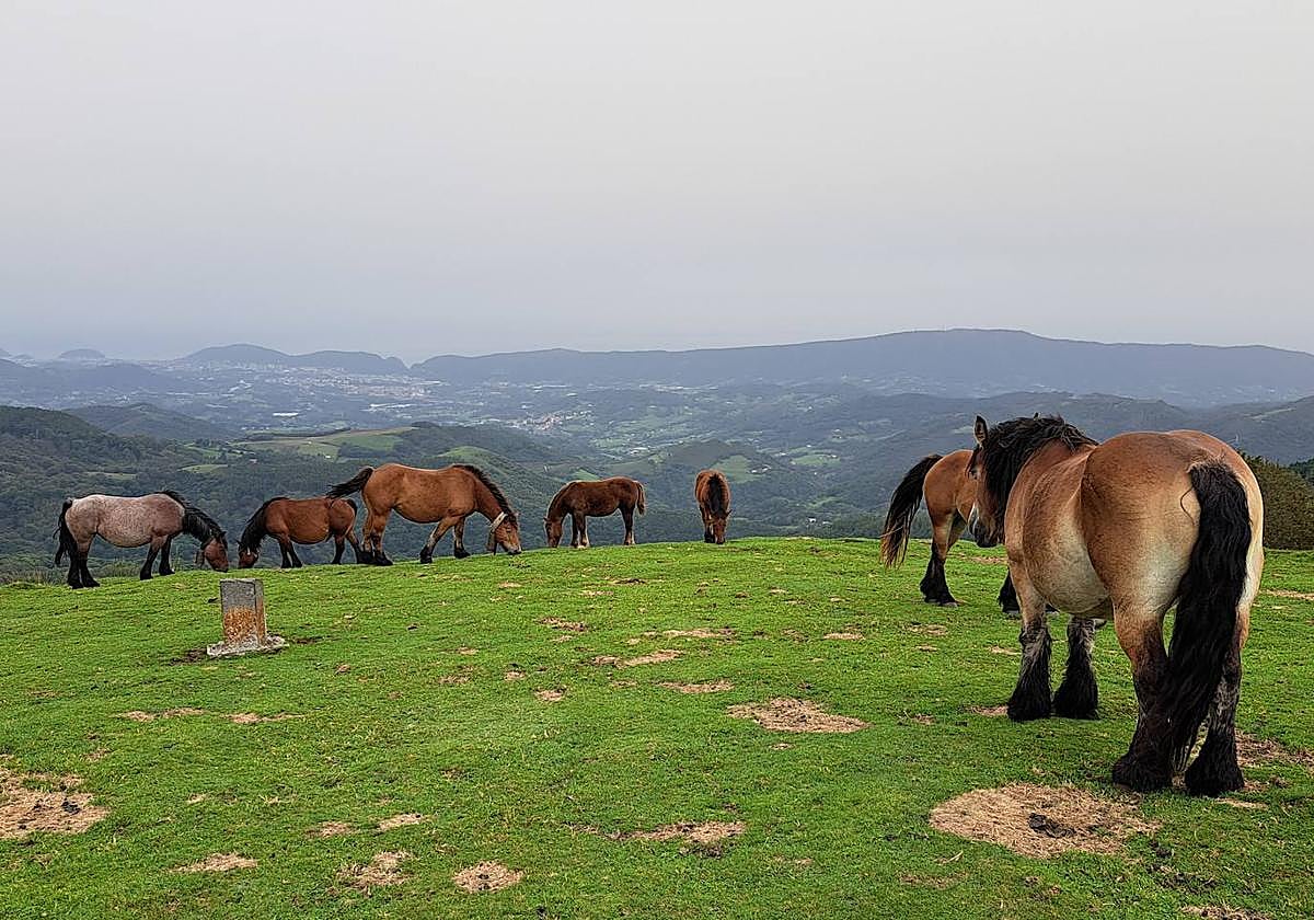 Zakarra y su sequito disfrutan de unas magníficas vistas de la isla de Santa Clara
