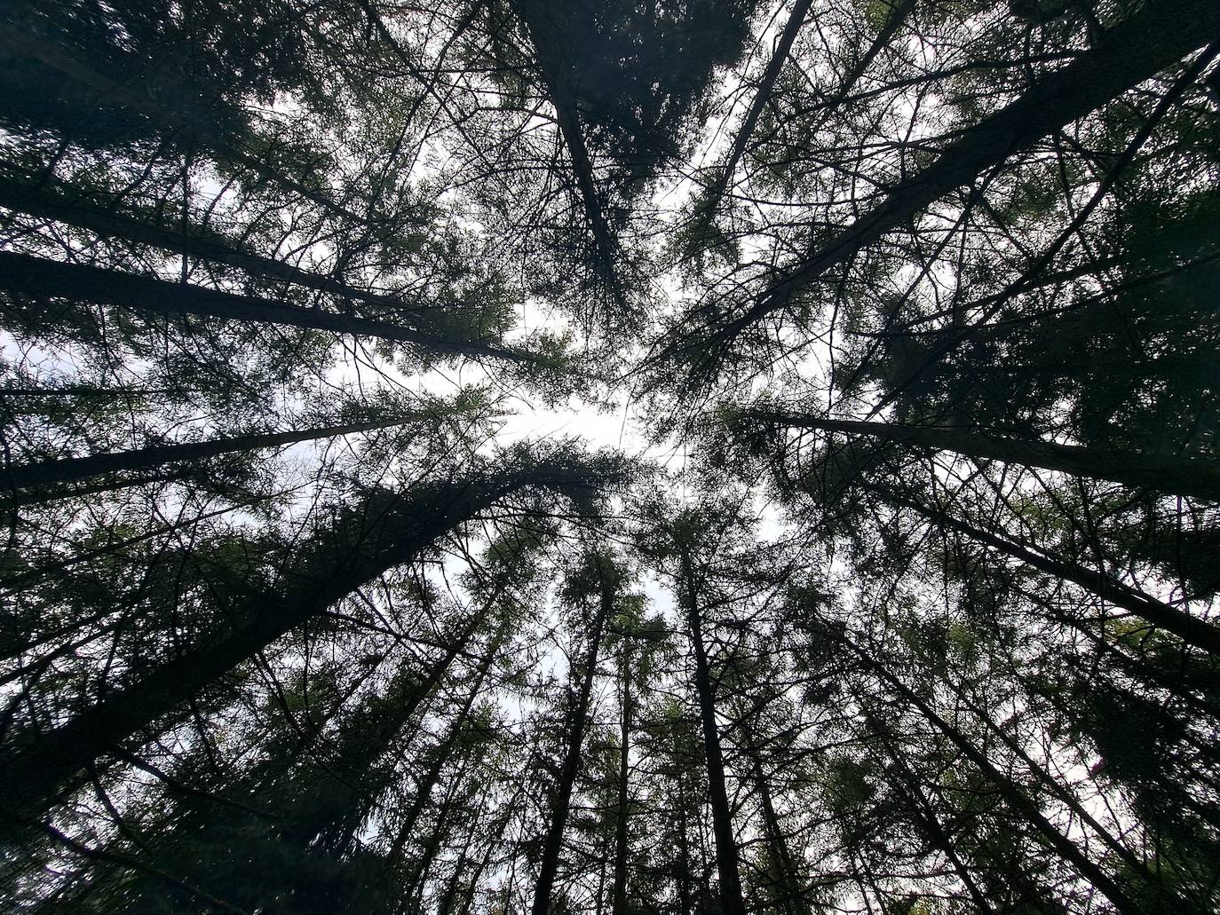 Urraki, un paisaje para disfrutar en Otoño