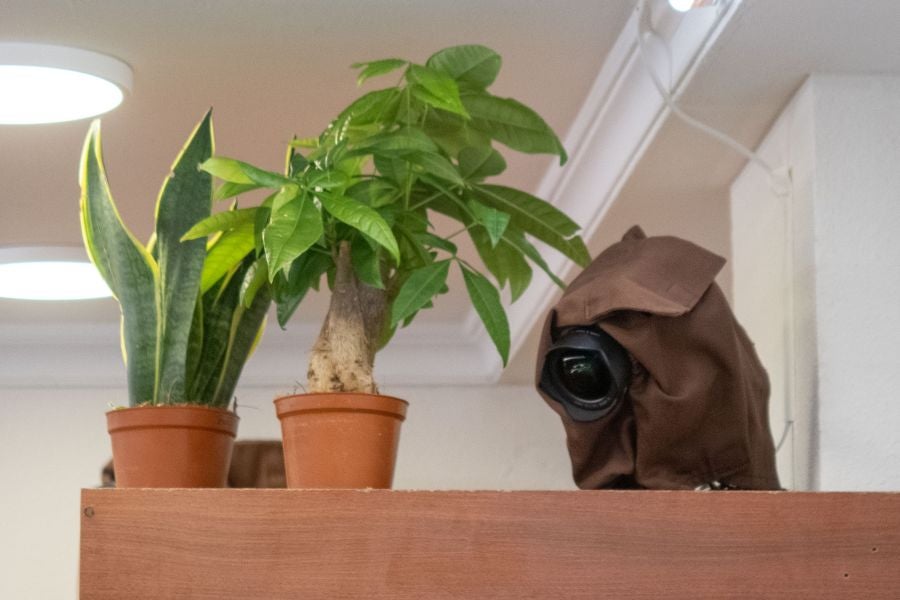 Bantxu TV se pasa a la Parte Vieja