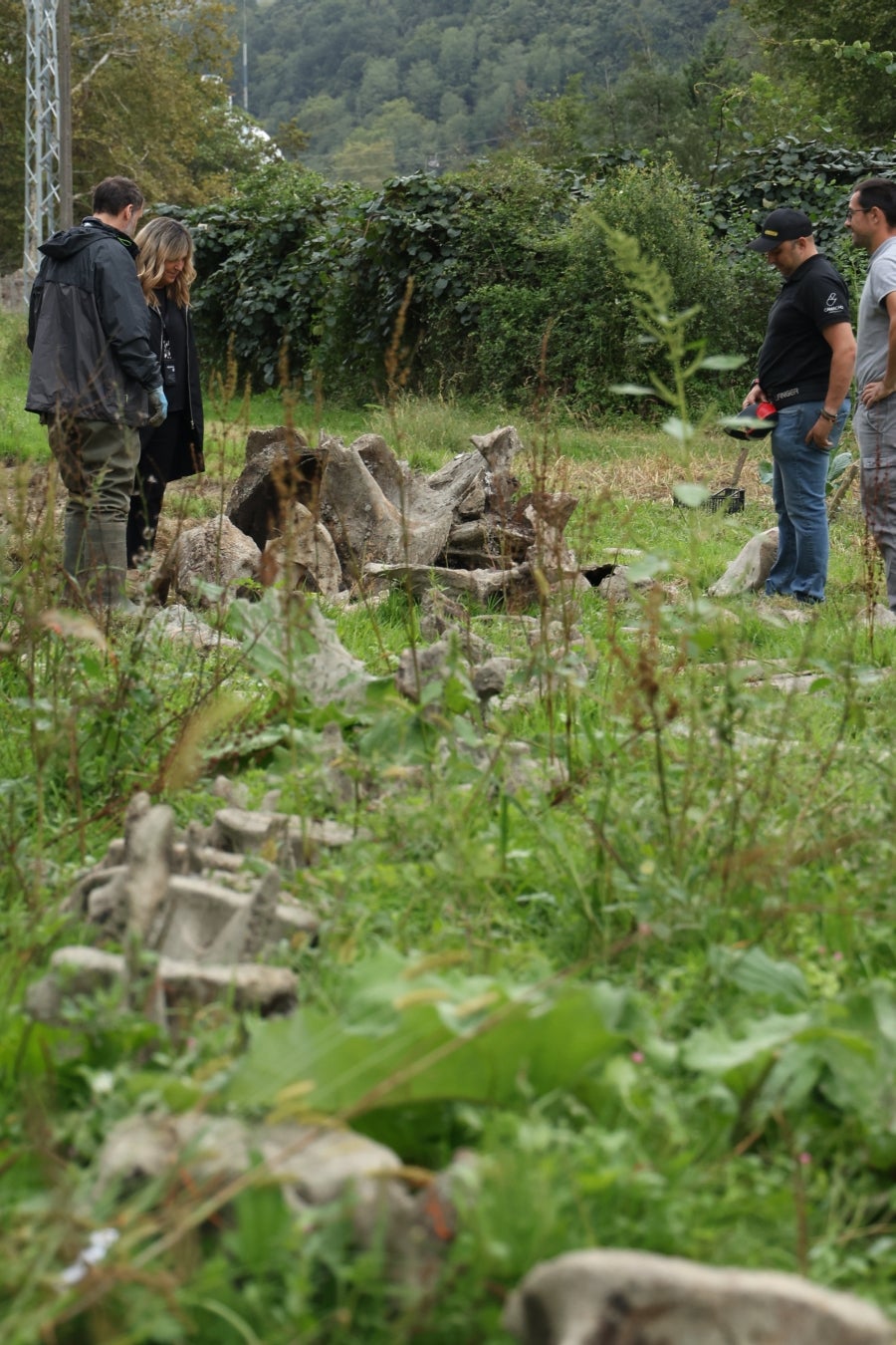 Desentierro del cachalote de Zarautz