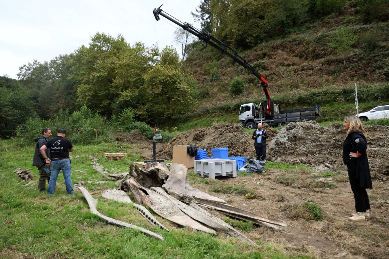 Desentierro del cachalote de Zarautz