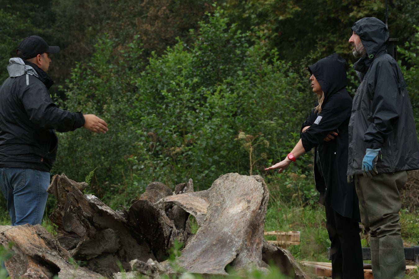 Desentierro del cachalote de Zarautz