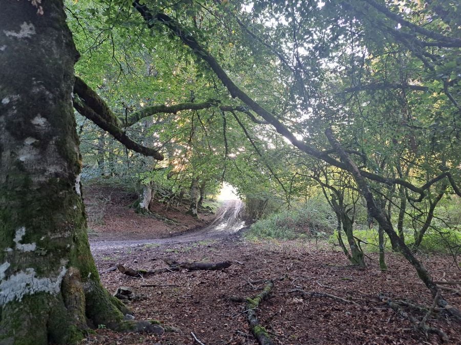 Impresionantes vistas desde la cima Ttuntturre
