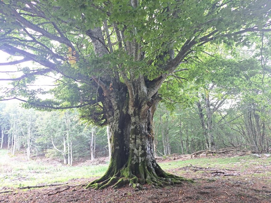 Impresionantes vistas desde la cima Ttuntturre