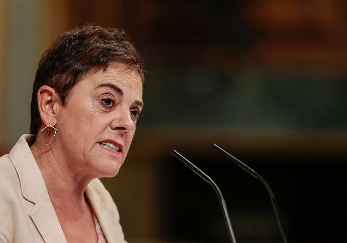 Mertxe Aizpurua, este miércoles en la tribuna del Congreso.