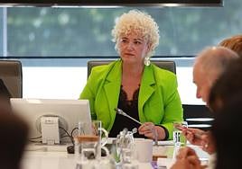 Maite Peña, ayer en la comisión de Cuidados y Políticas Sociales.