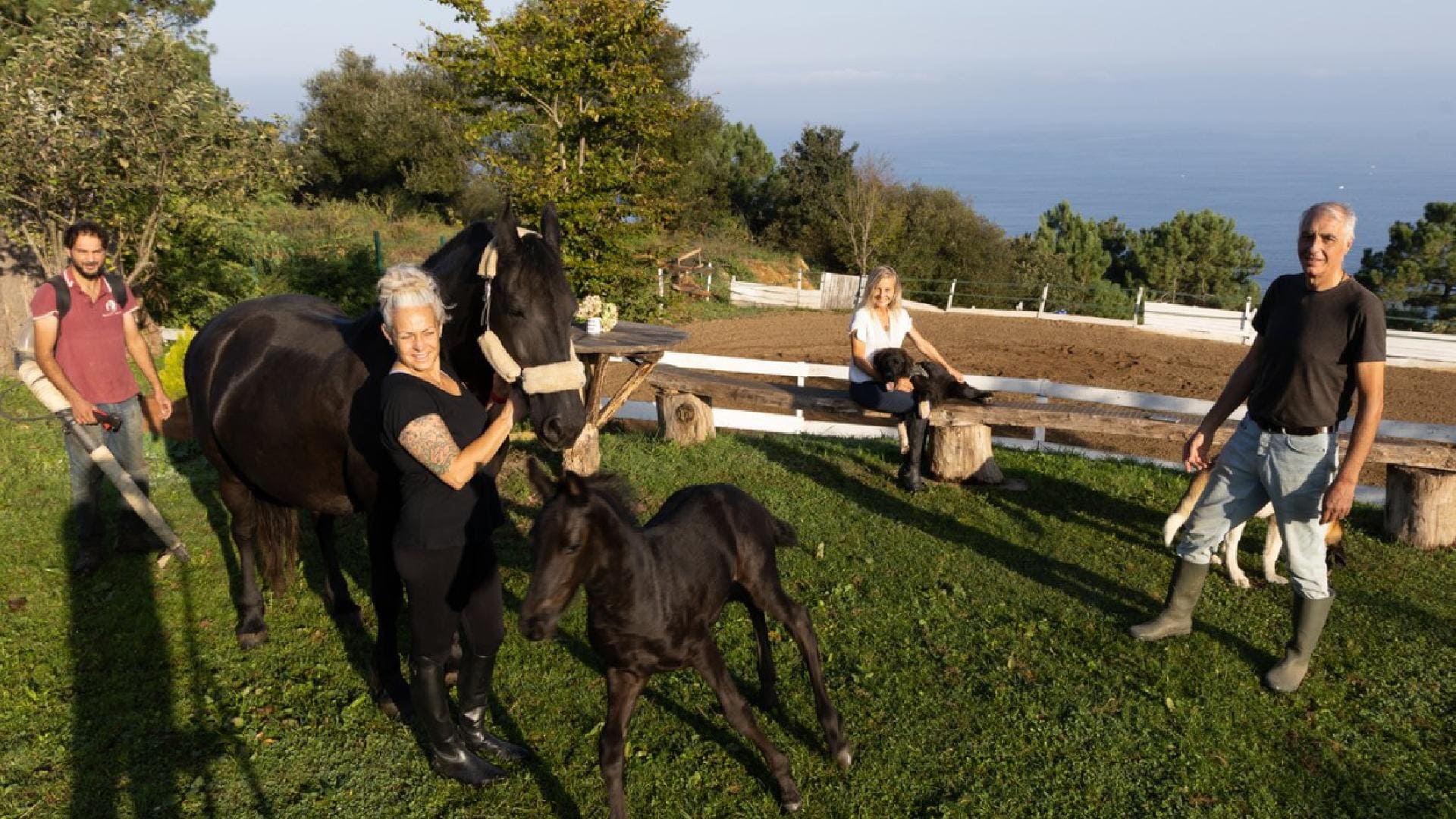 Ciudadanos: «Aquí nacen potrillos y tienen su retiro dorado los mejores  caballos» | El Diario Vasco