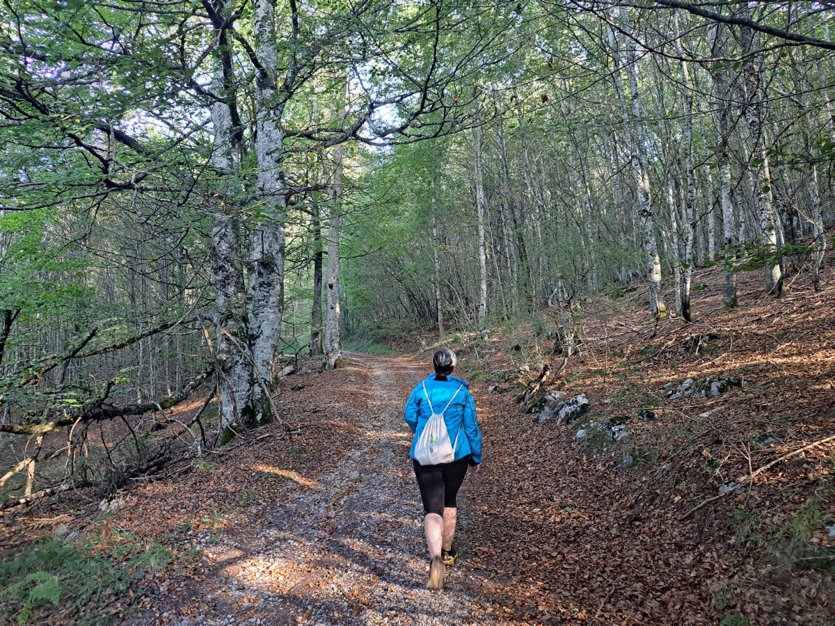 Descubriendo Aiztondo