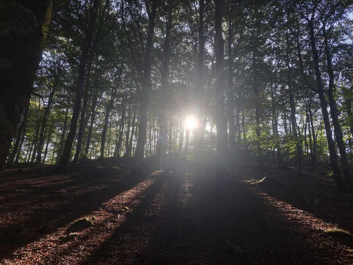 Descubriendo Aiztondo