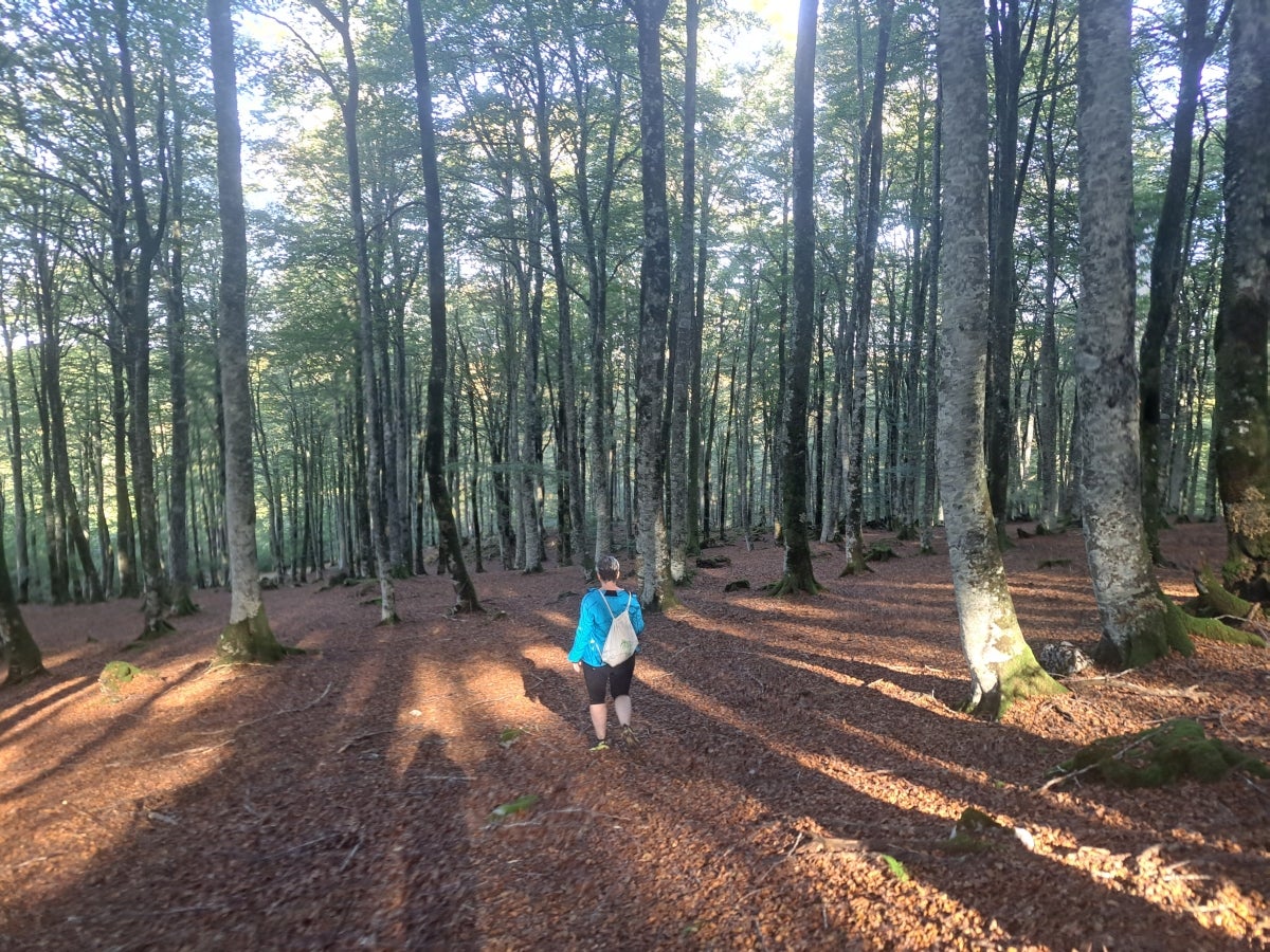 Descubriendo Aiztondo