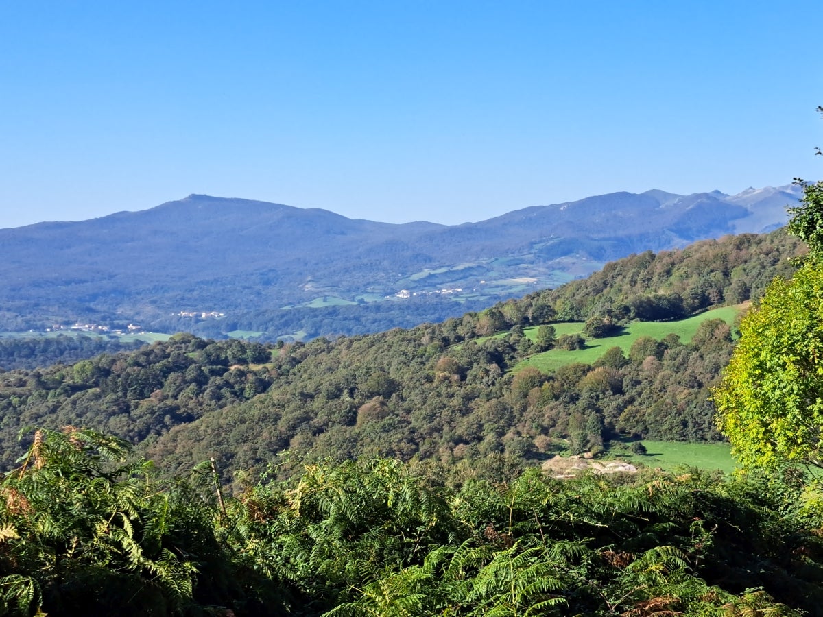 Descubriendo Aiztondo