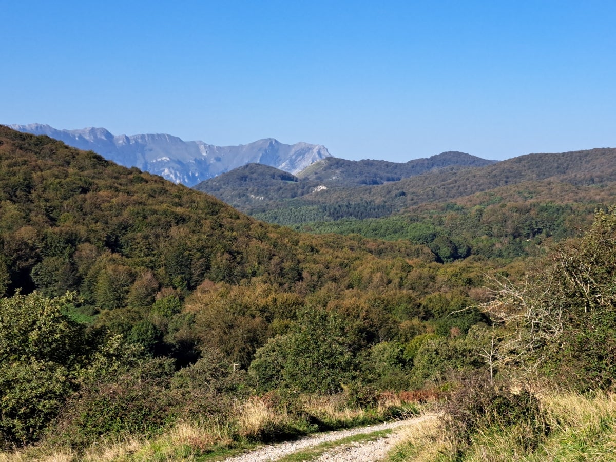 Descubriendo Aiztondo
