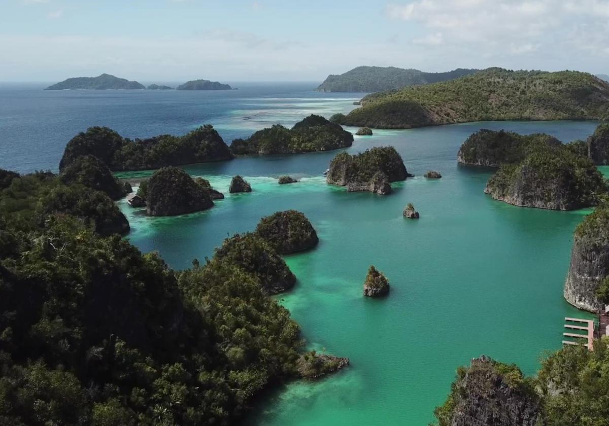 Fotograma de 'El santuario del mar de Halmahera', situado en el archipiélago de Indonesia.