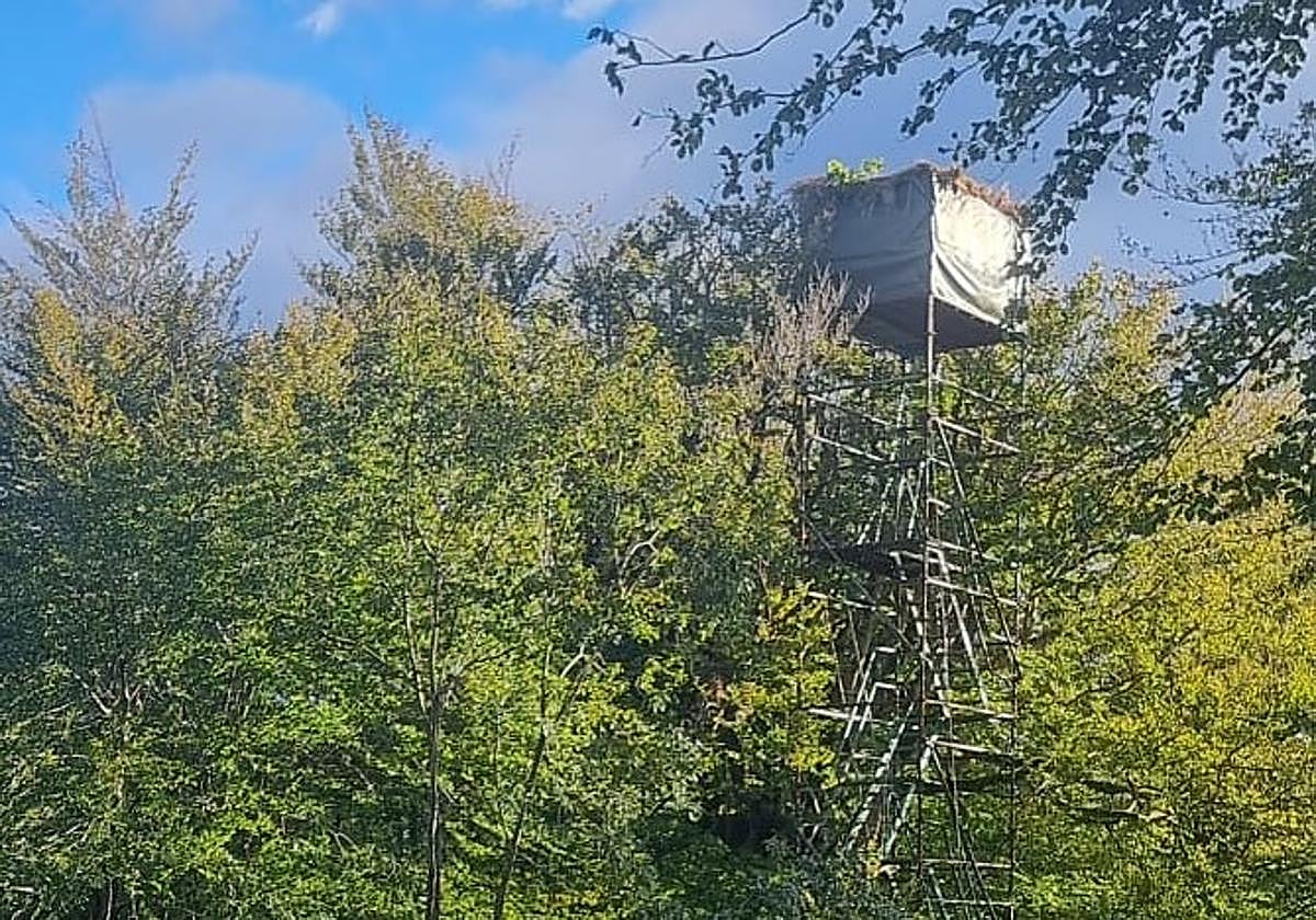 Palomera desde la que se ha precipitado el cazador en Olazagutía.