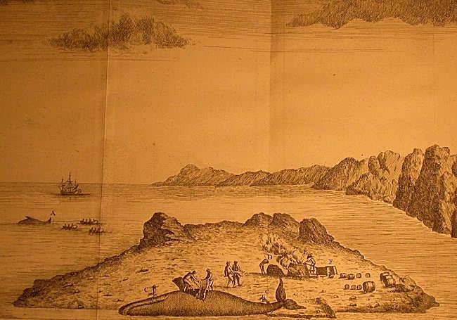 Trinchado de una ballena y fundición de su grasa en una isla. Grabado del siglo XVIII.