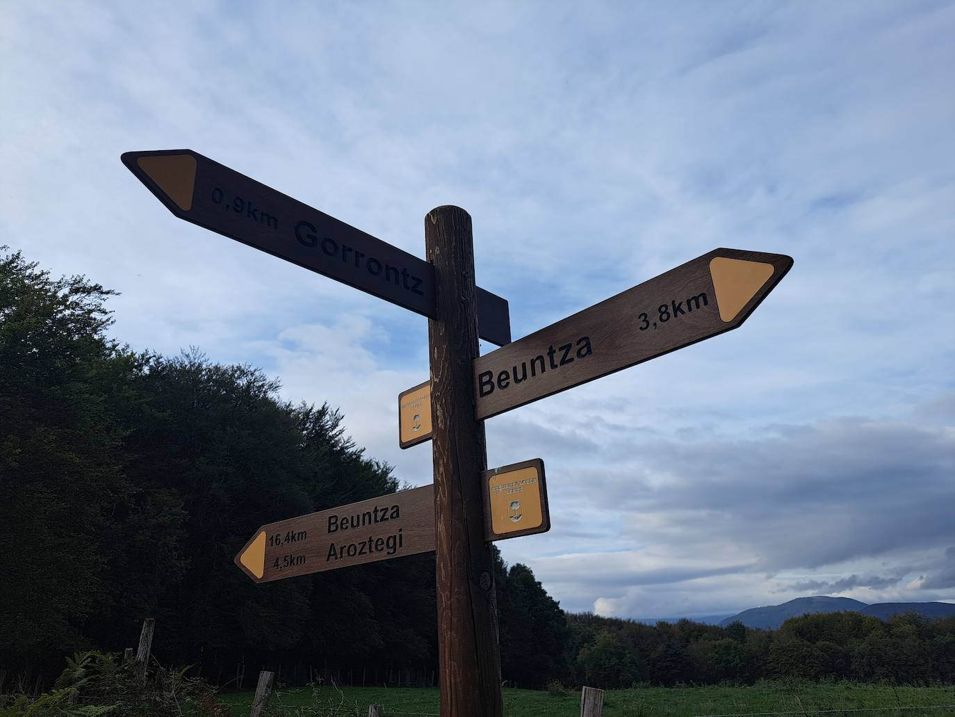 Arraldegaña, una cima oculta por robles centenarios en Navarra