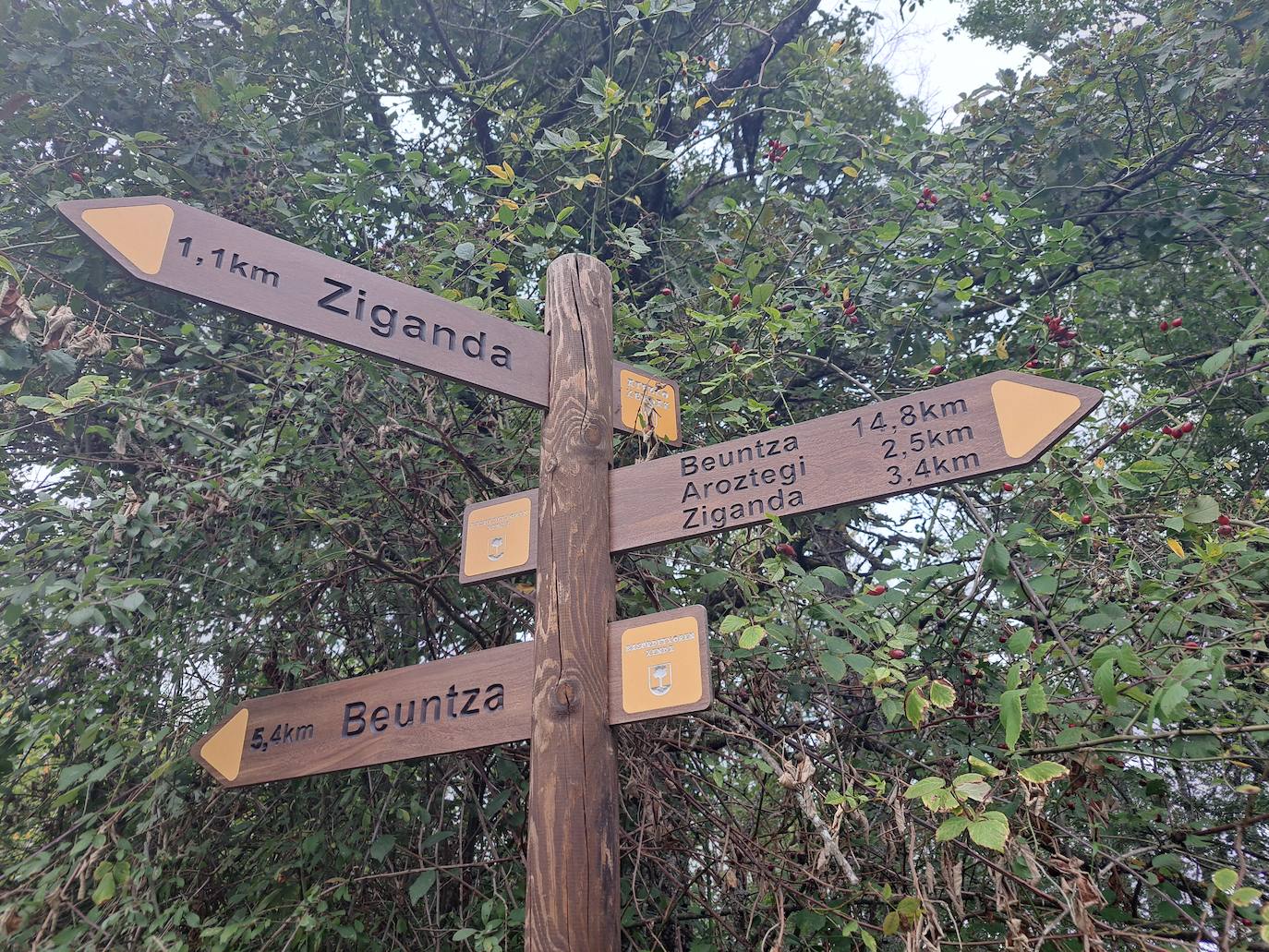 Arraldegaña, una cima oculta por robles centenarios en Navarra