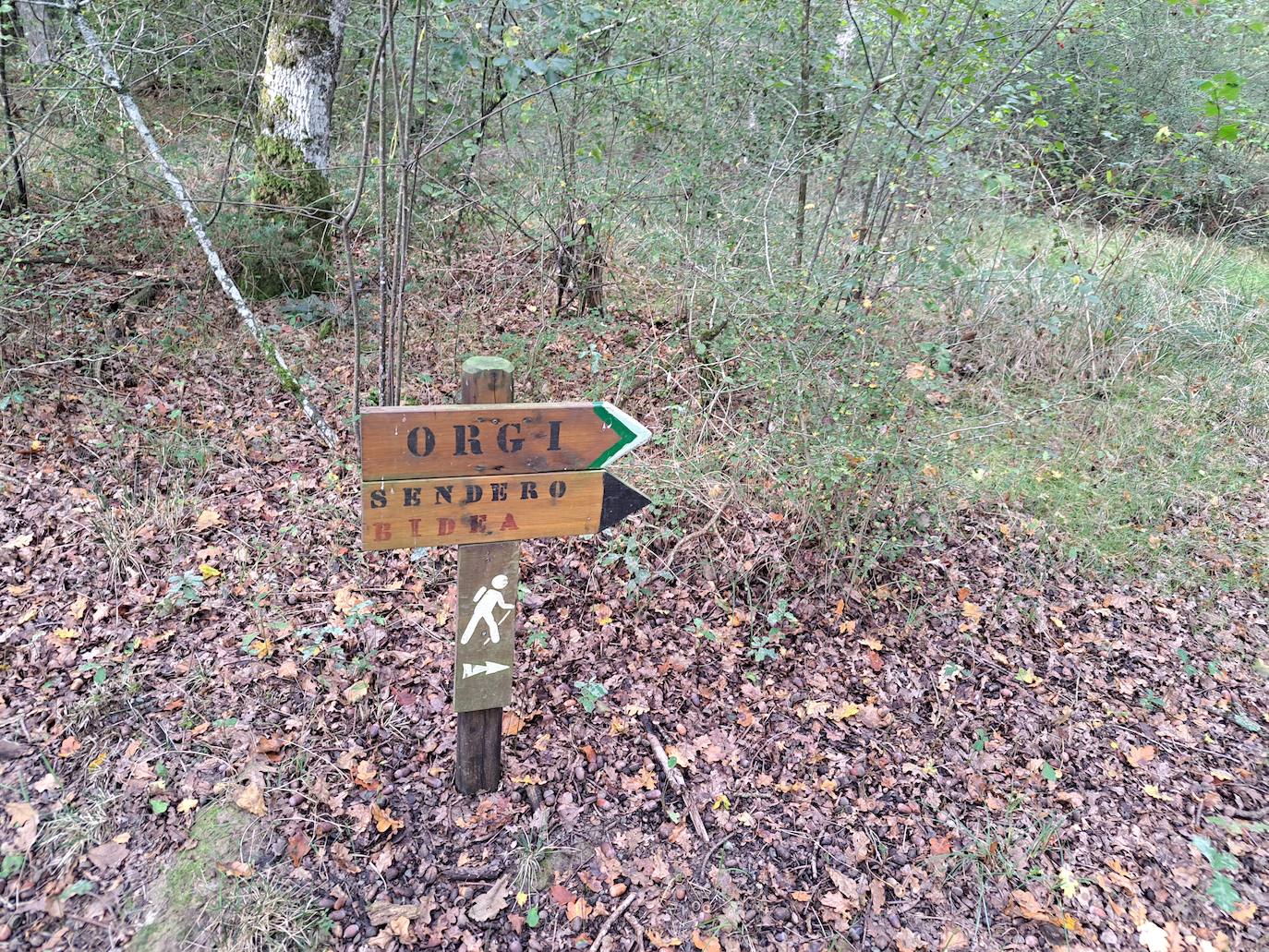 Arraldegaña, una cima oculta por robles centenarios en Navarra