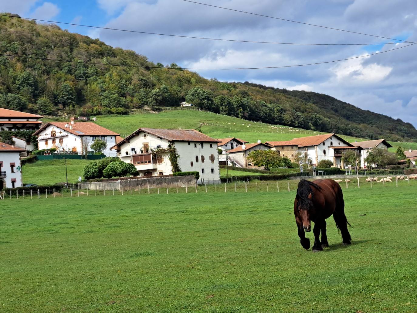 Arraldegaña, una cima oculta por robles centenarios en Navarra