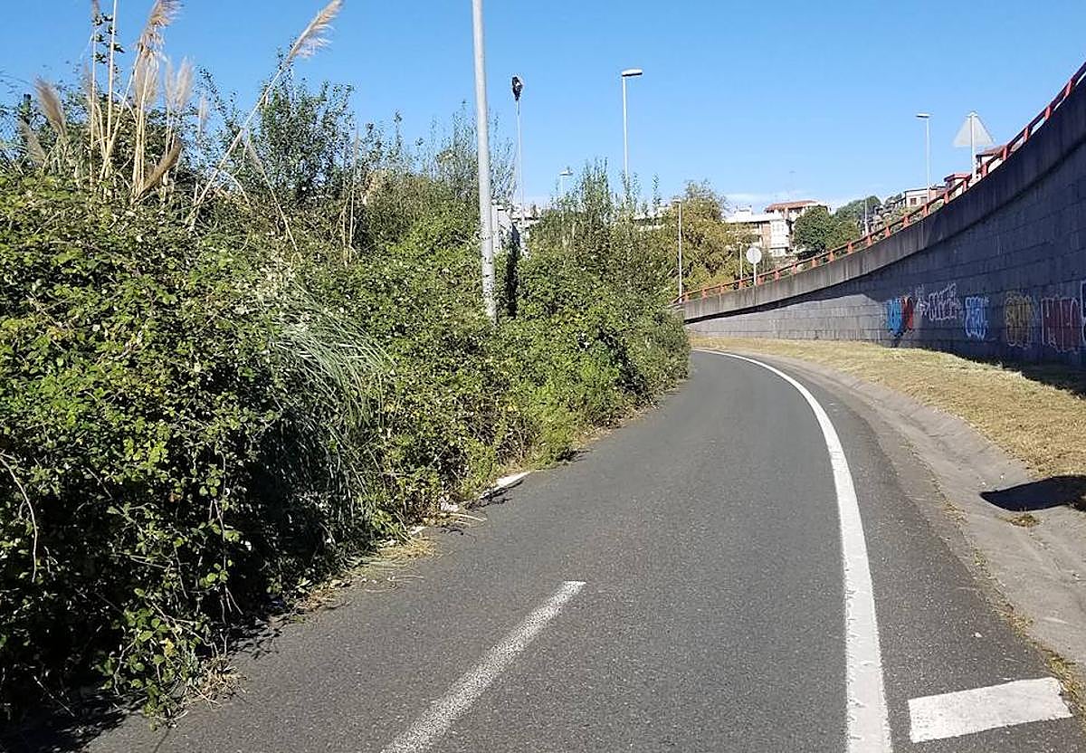 Óscar Fernández nos envía la siguiente fotodenuncia: «No está muy claro si llegará una manada de jabalíes o algún coche por esta carretera de acceso a Riberas de Loiola. En fin, llevamos varios años ya con esta maleza. Se trata del terreno que está junto a las instalaciones de BPXport y que debería limpiar el Ayuntamiento».