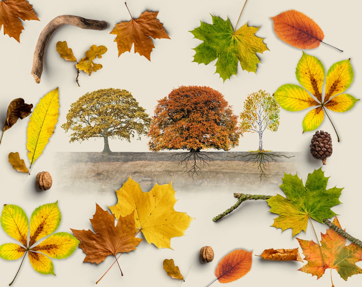 Las tres rutas más fotogénicas del otoño en Gipuzkoa
