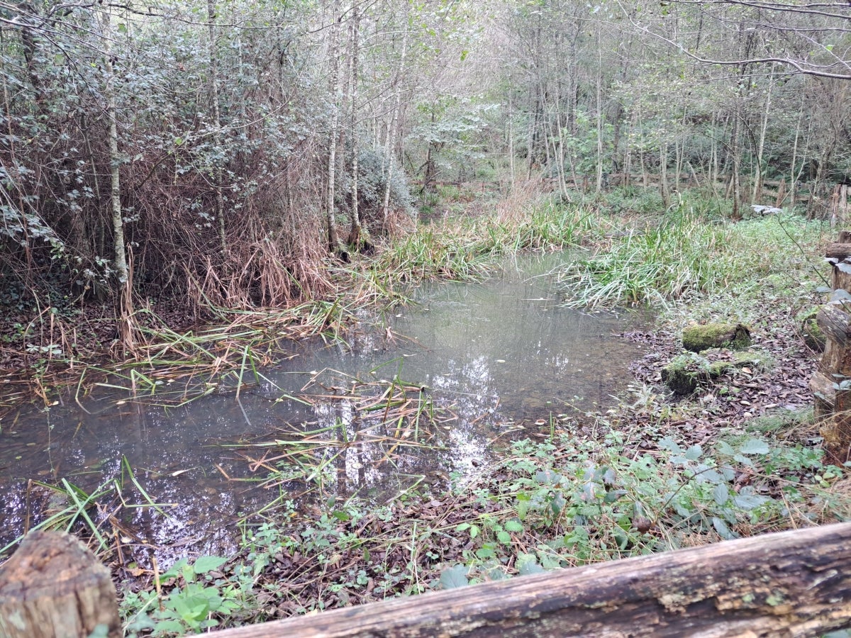 La ruta hasta Igoin, en imágenes