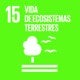 Imagen principal - Comiendo producto de temporada también ayudas a la tierra