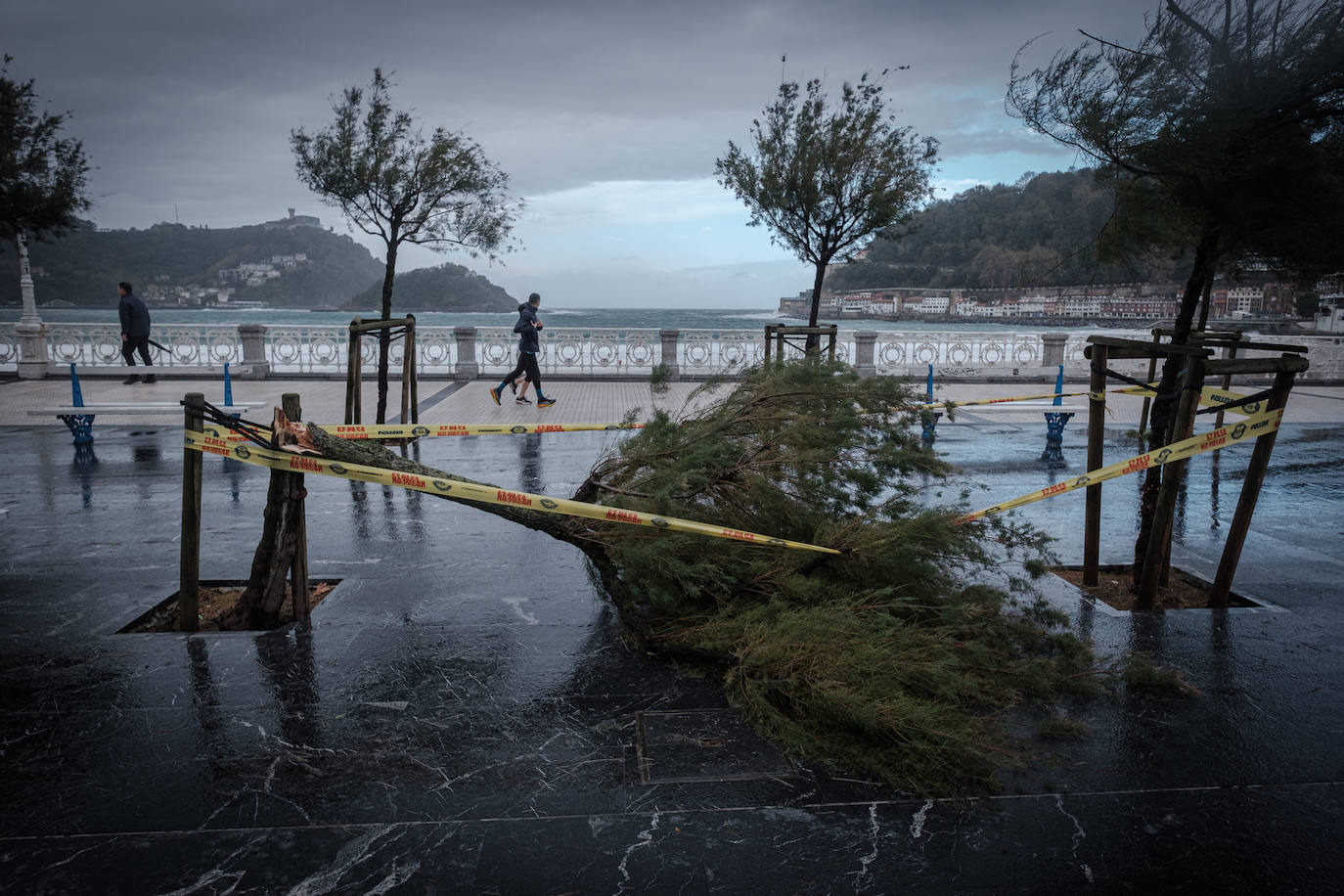 La huella de la borrasca Ciarán en Gipuzkoa