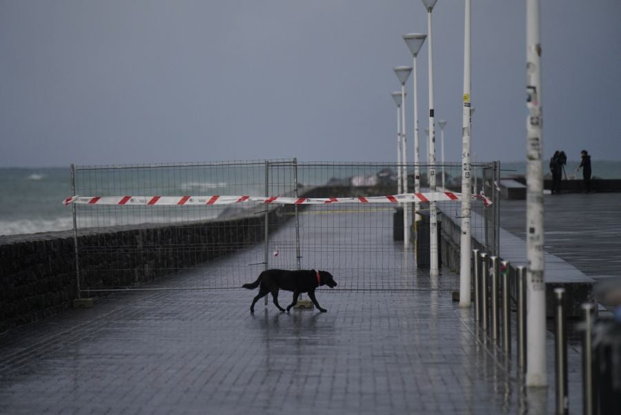 La huella de la borrasca Ciarán en Gipuzkoa