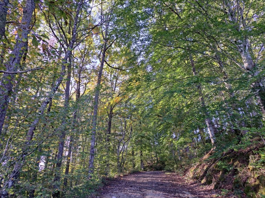 Gorostiaga: un bonito paseo por los montes de Legazpi