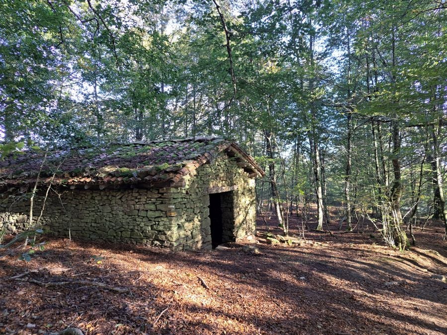 Gorostiaga: un bonito paseo por los montes de Legazpi