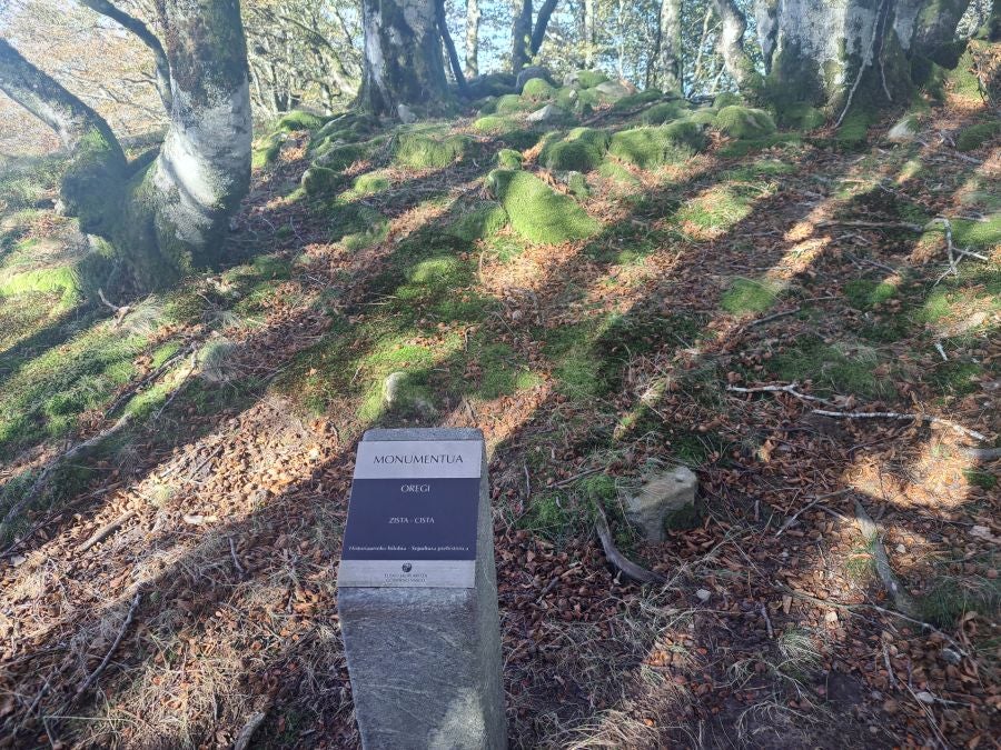 Gorostiaga: un bonito paseo por los montes de Legazpi