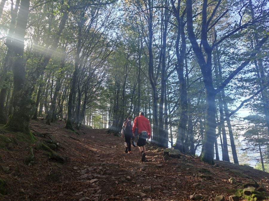 Gorostiaga: un bonito paseo por los montes de Legazpi