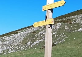 Plaka bat kolokatzen egindako auzolan batean.