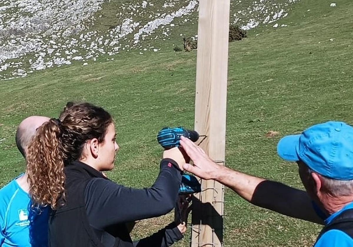 Plaka bat kolokatzen egindako auzolan batean.