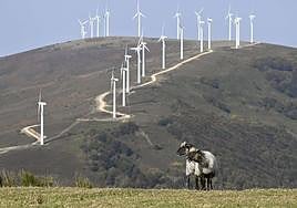 Aerogeneradores en el parque eólico de Elguea-Urkilla, en la muga entre Gipuzkoa y Araba.
